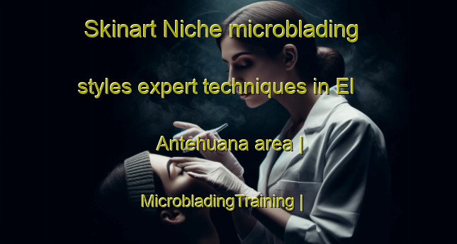 Skinart Niche microblading styles expert techniques in El Antehuana area | MicrobladingTraining | MicrobladingClasses | SkinartTraining-Mexico